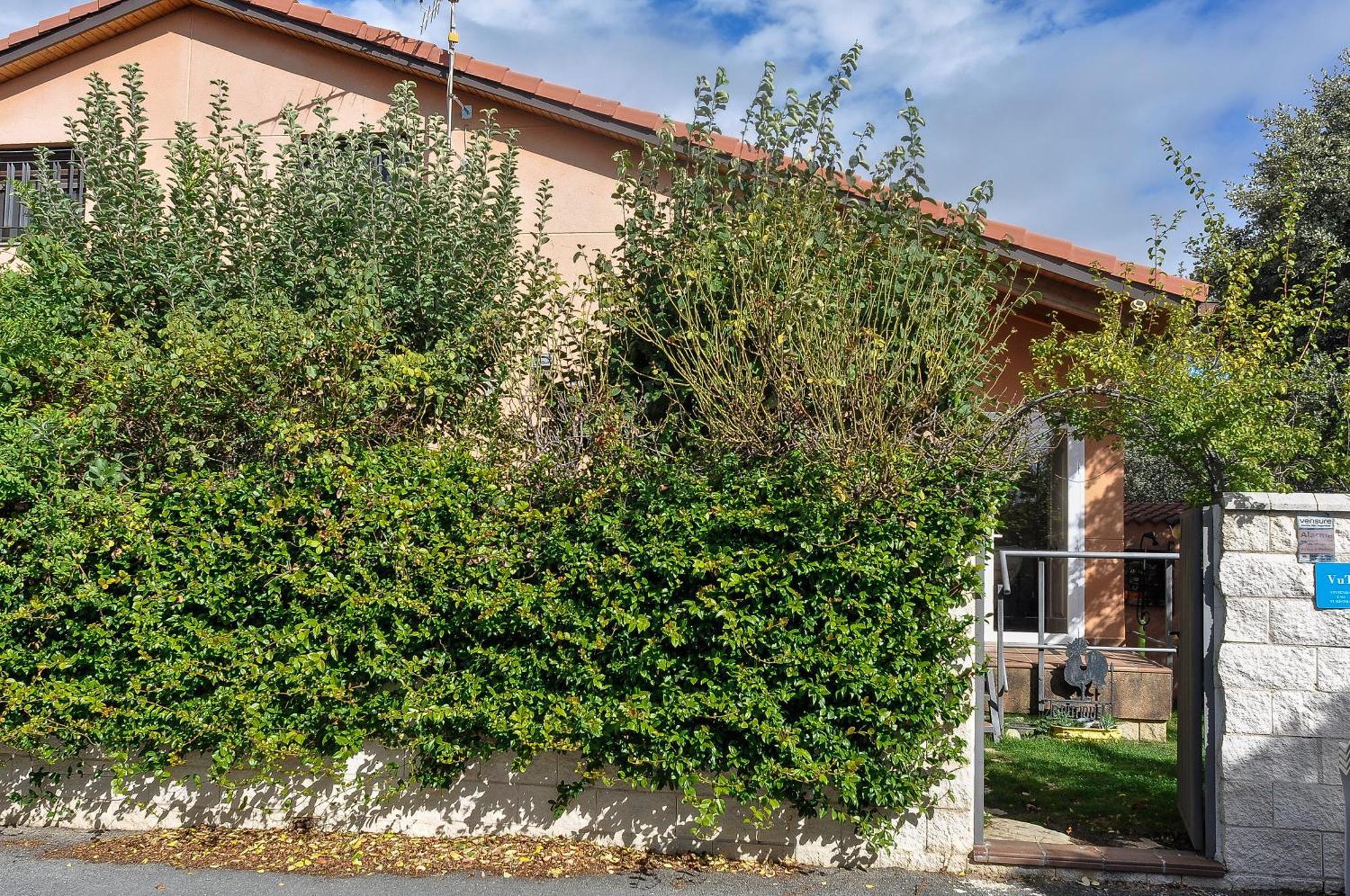 Acogedora Casa Con Verde Jardin By Cabana Rentals Ituero y Lama 外观 照片